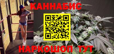 тгк Новодвинск