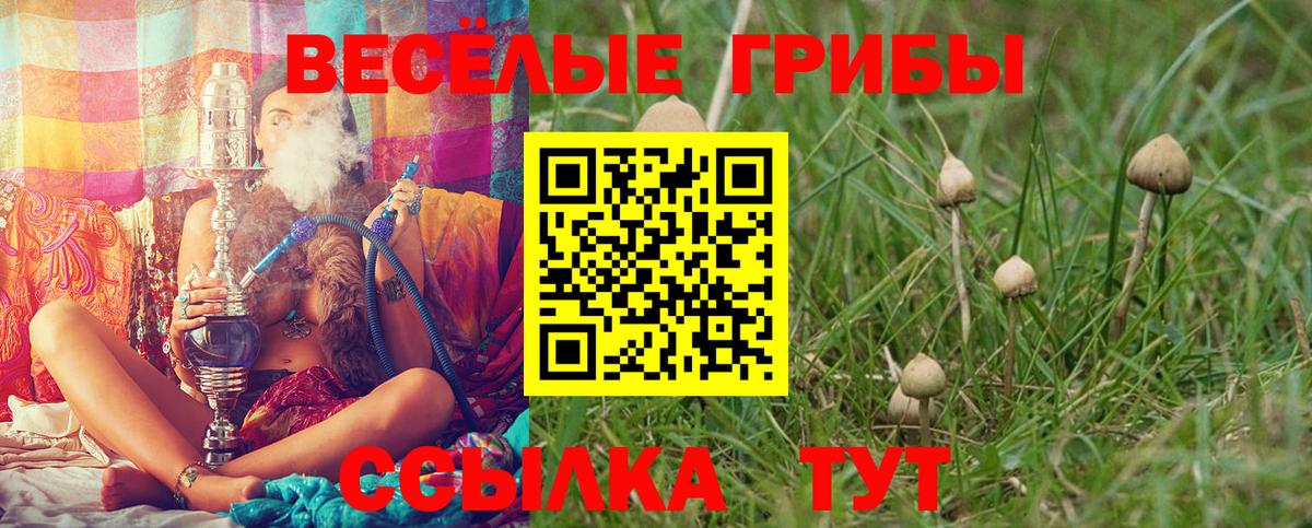 Таганрог  Псилоцибиновые грибы ЛСД  Вход с VPN 